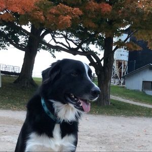 Meet your Posher, Miranda